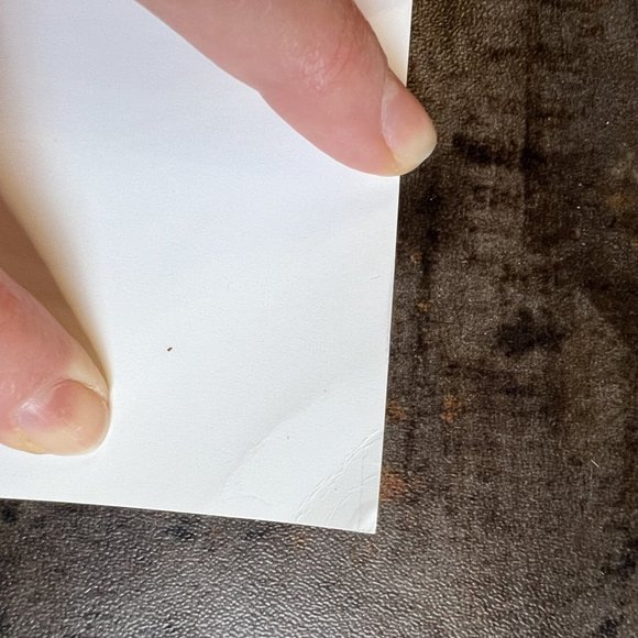 VG/NM Rolling Stones Tattoo You Cover Art Lithograph 1998 Peter Corriston, 35x22 - Picture 12 of 14